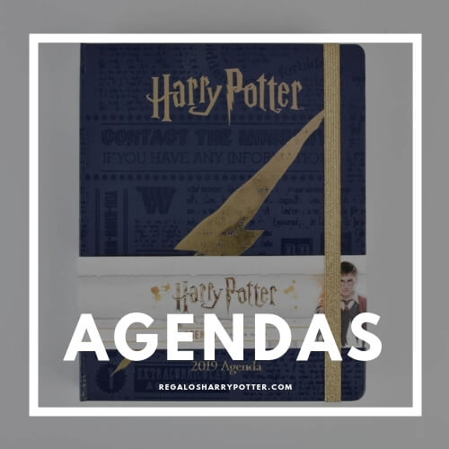agenda harry potter
